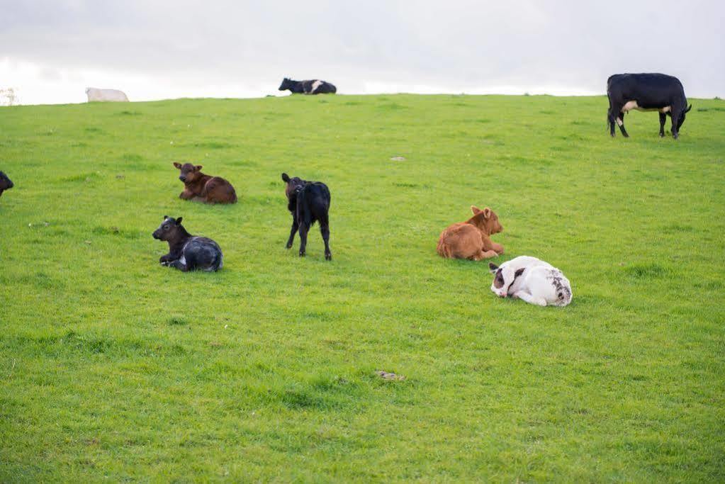 Huntlands Farm Bed & Breakfast Bromyard Dış mekan fotoğraf